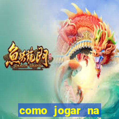 como jogar na teimosinha da lotofacil