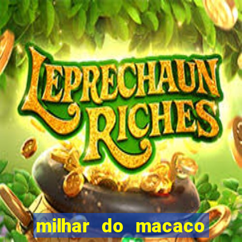 milhar do macaco que mais saem no jogo do bicho