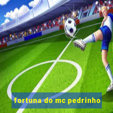 fortuna do mc pedrinho