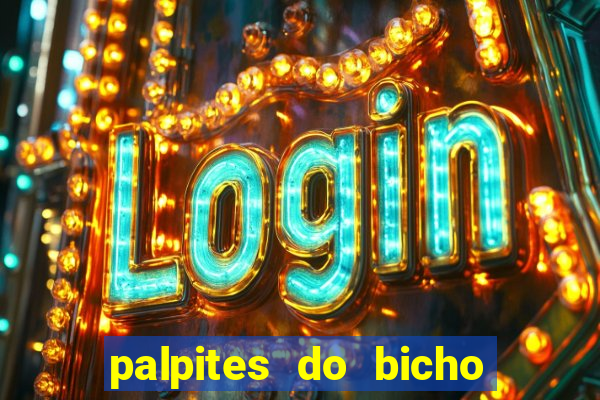 palpites do bicho no celular