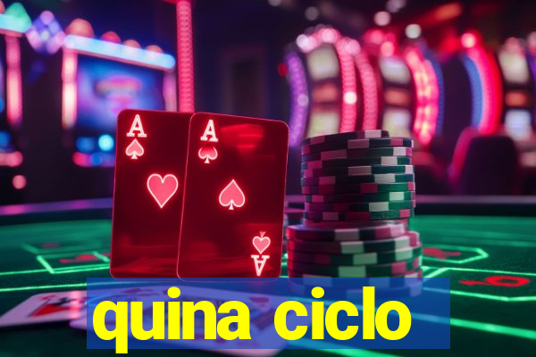 quina ciclo