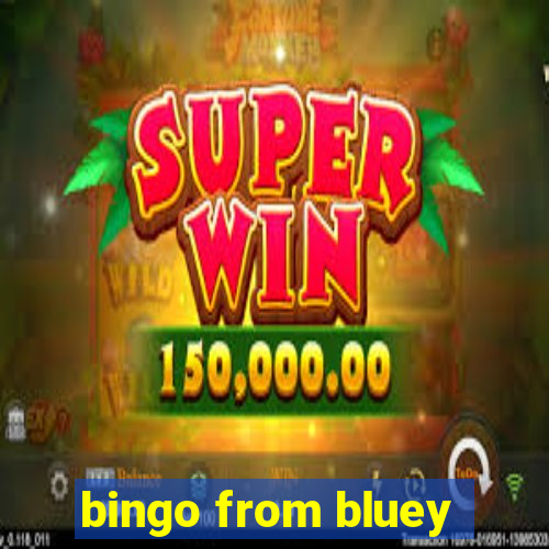 bingo from bluey