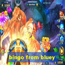 bingo from bluey