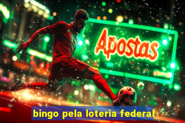 bingo pela loteria federal