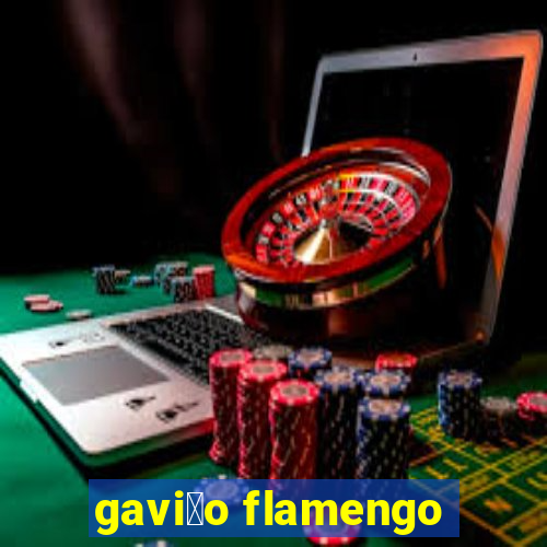 gavi茫o flamengo