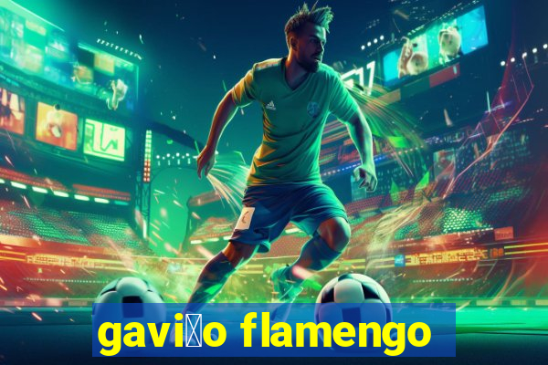 gavi茫o flamengo