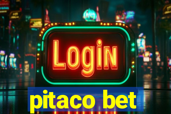 pitaco bet