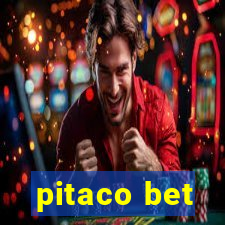 pitaco bet