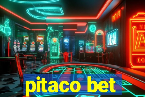 pitaco bet