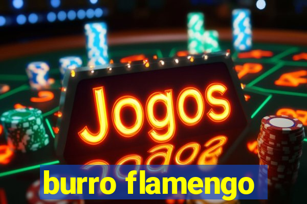 burro flamengo