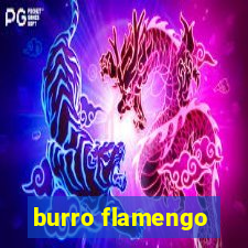 burro flamengo