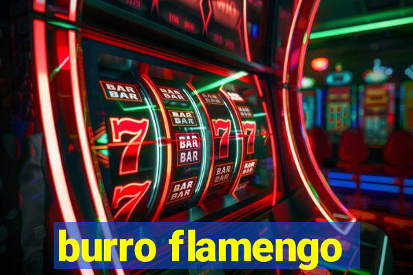 burro flamengo