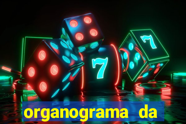 organograma da cacau show