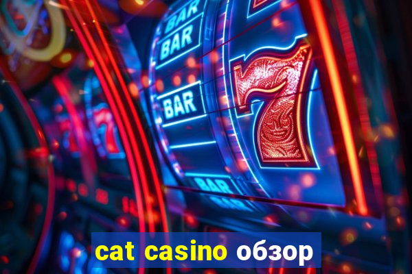 cat casino обзор