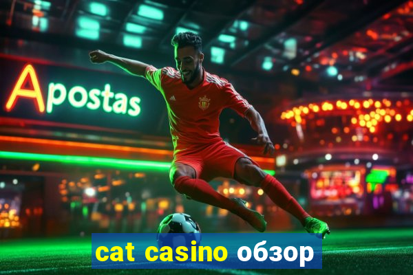 cat casino обзор