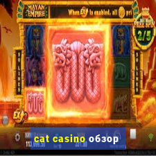 cat casino обзор