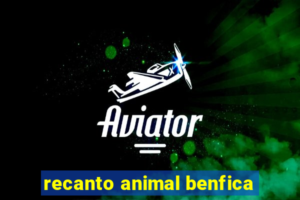 recanto animal benfica