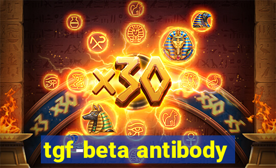 tgf-beta antibody