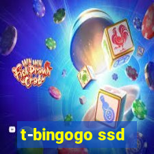 t-bingogo ssd