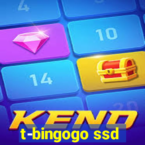 t-bingogo ssd