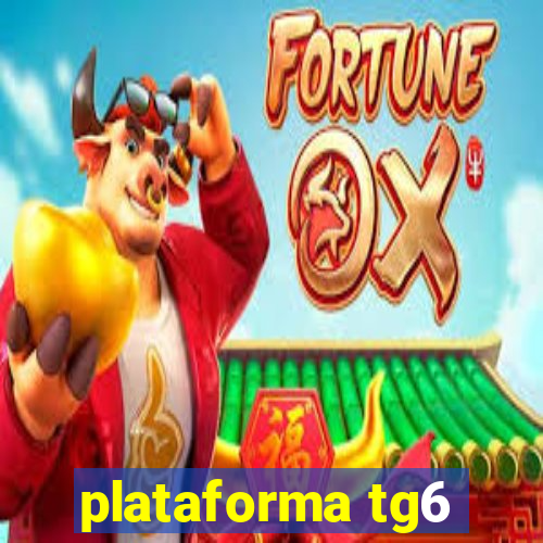 plataforma tg6