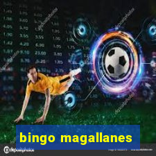 bingo magallanes