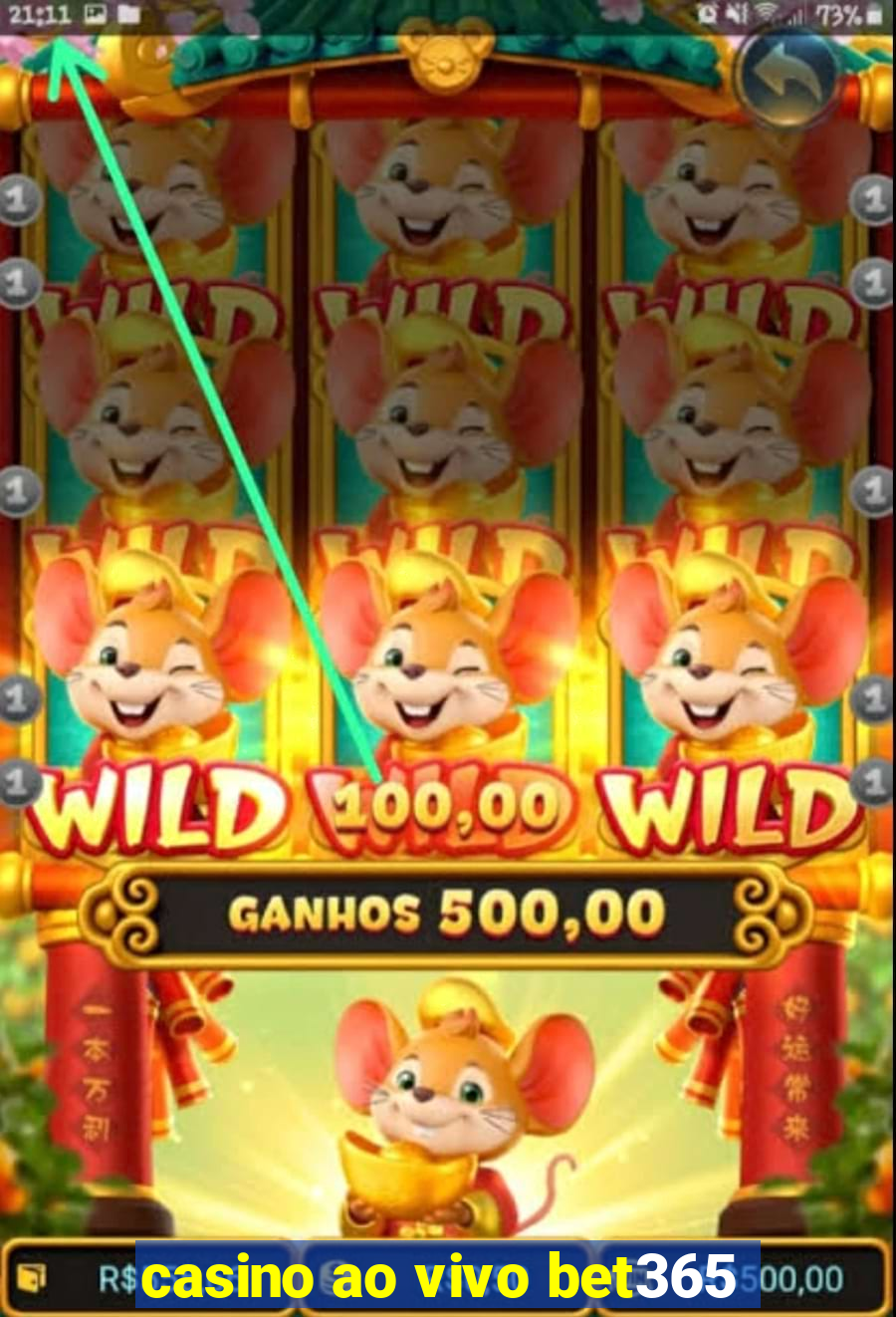 casino ao vivo bet365