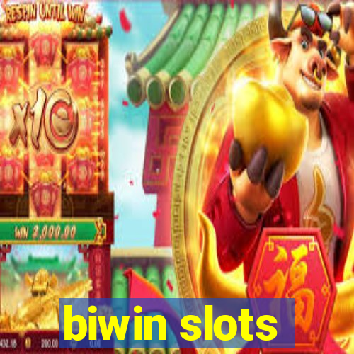 biwin slots