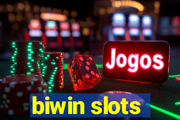 biwin slots