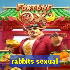 rabbits sexual