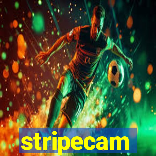 stripecam