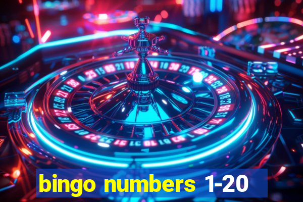 bingo numbers 1-20