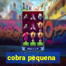 cobra pequena