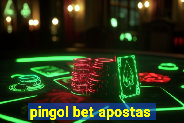 pingol bet apostas