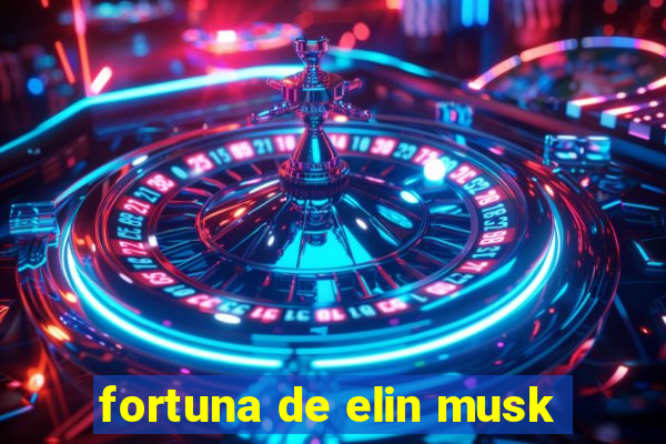 fortuna de elin musk