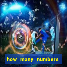 how many numbers in bingo