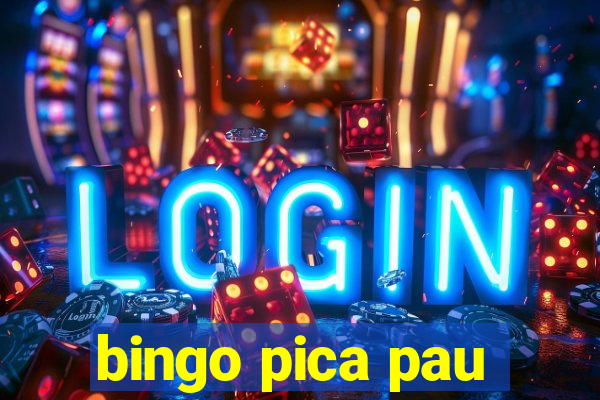 bingo pica pau