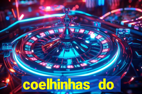 coelhinhas do brasil acompanhantes