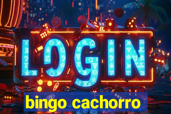 bingo cachorro