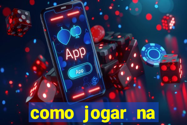 como jogar na lotinha do jogo do bicho