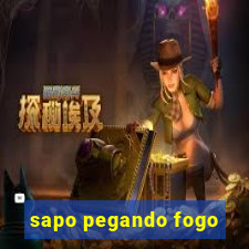 sapo pegando fogo