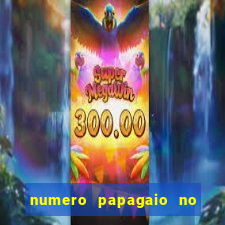 numero papagaio no jogo do bicho