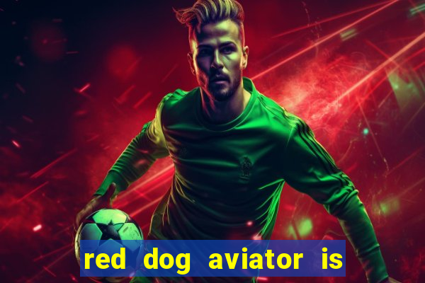 red dog aviator is real or fake