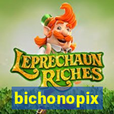 bichonopix