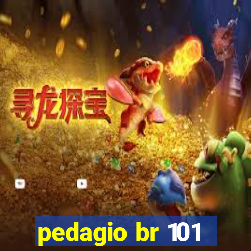 pedagio br 101