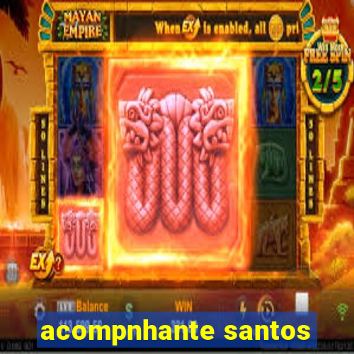 acompnhante santos