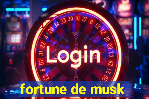 fortune de musk