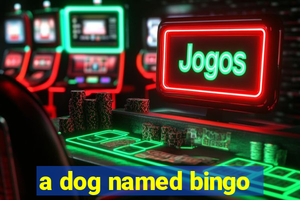 a dog named bingo