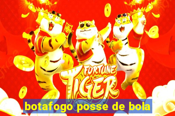 botafogo posse de bola