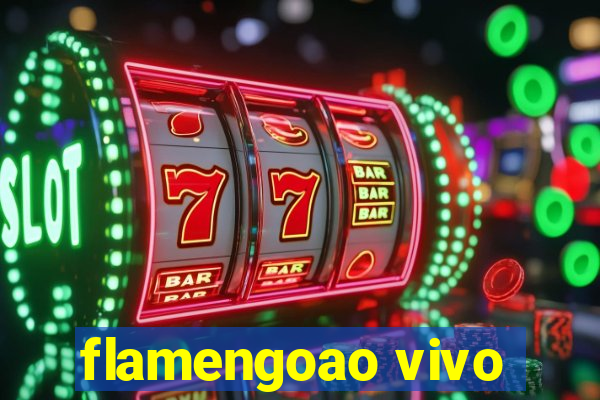 flamengoao vivo